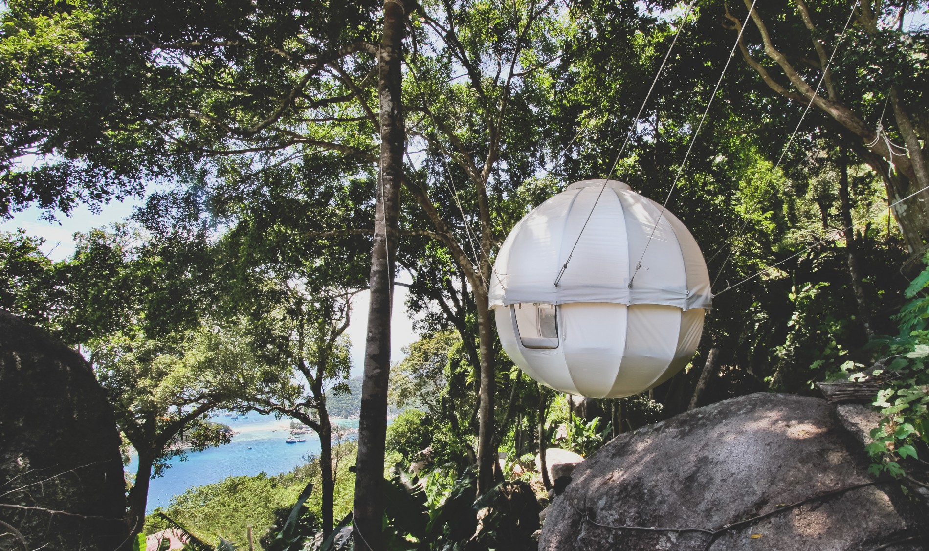 dans la jungle vue mer